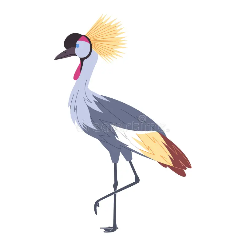 Illustration of the Uganda National bird, the Crested Crane