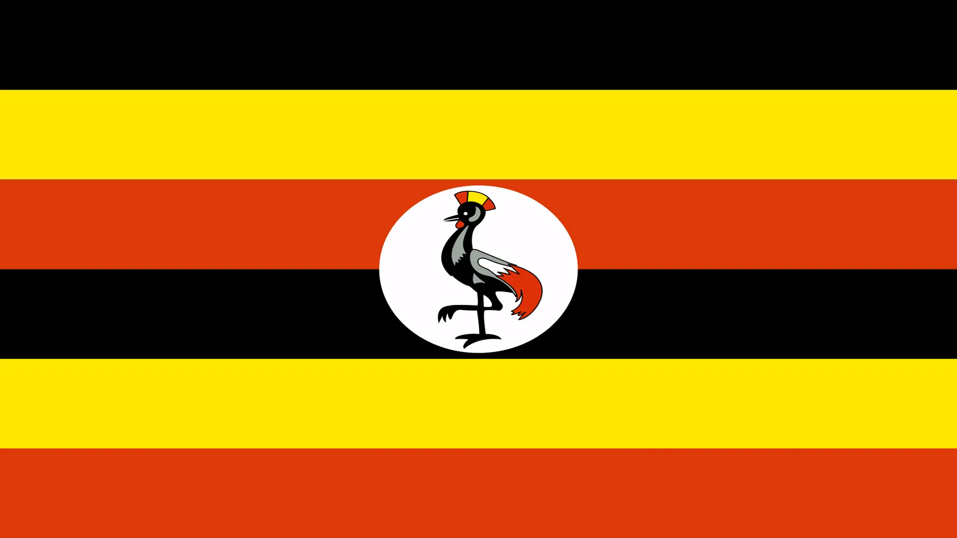 Uganda flag showing black, yellow, and red stripes with grey crowned crane Uganda flag showing black, yellow, and red stripes with grey crowned crane